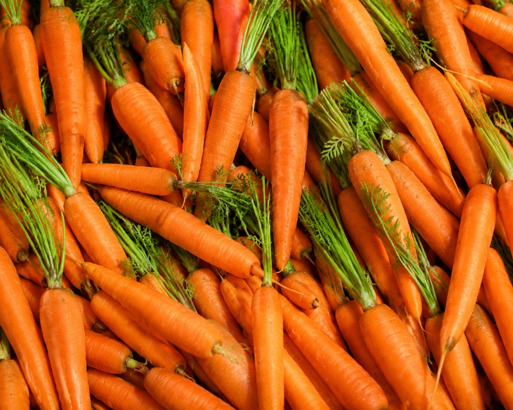 Carrot (raw)