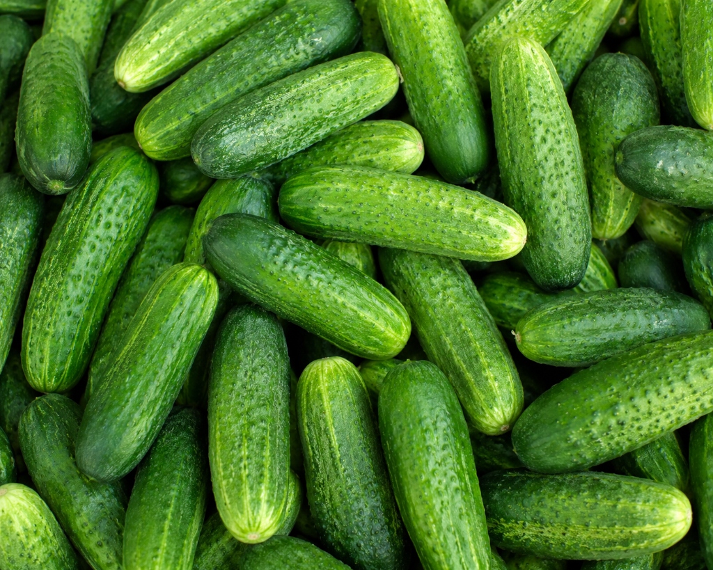 Cucumber (raw)